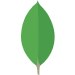 mongodb