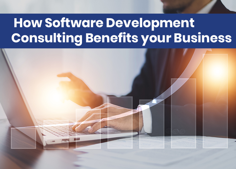 How Software Development Consulting Benefits your Business | OpenTeQ 