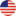 usa flag